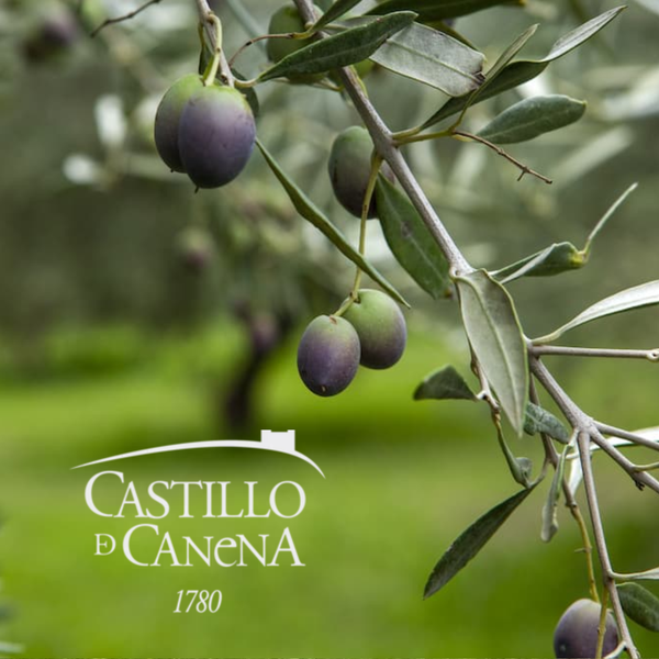 Caja regalo Gourmet Balbisiana