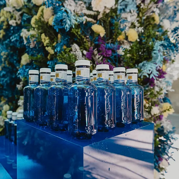 Botella de agua mineral Solan de Cabras 330 ml